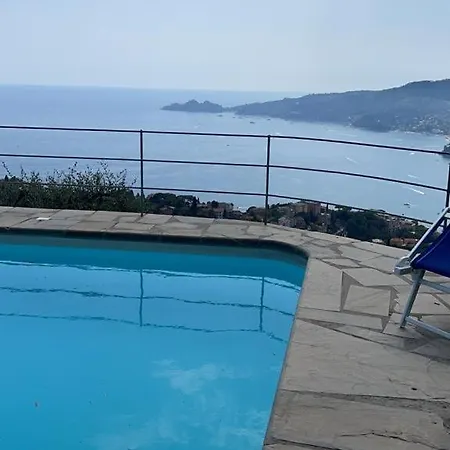 Paradise Apartment