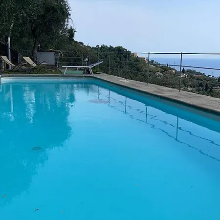 Apartment Paradise *