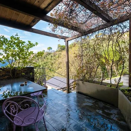 Apartment Paradise *